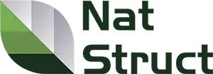 Natstruct AG Logo