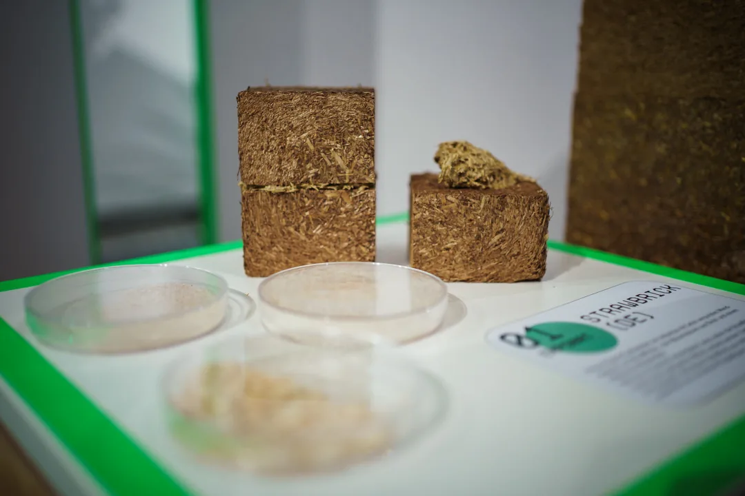 StrawBrick-Ausstellung – Materialproben auf der Prämierungsfeier