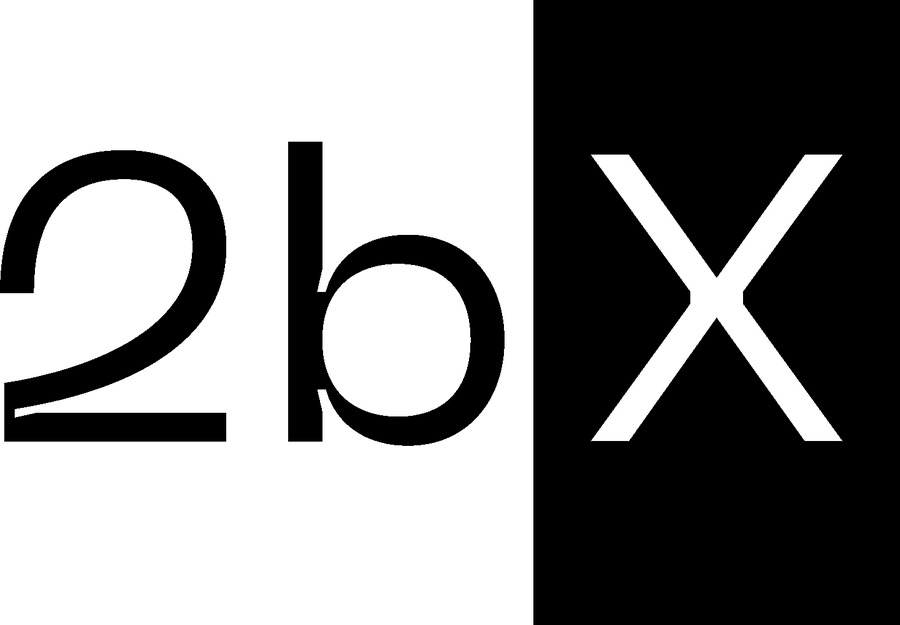 2bX