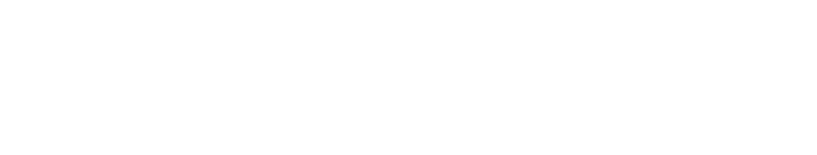 Realyze Ventures
