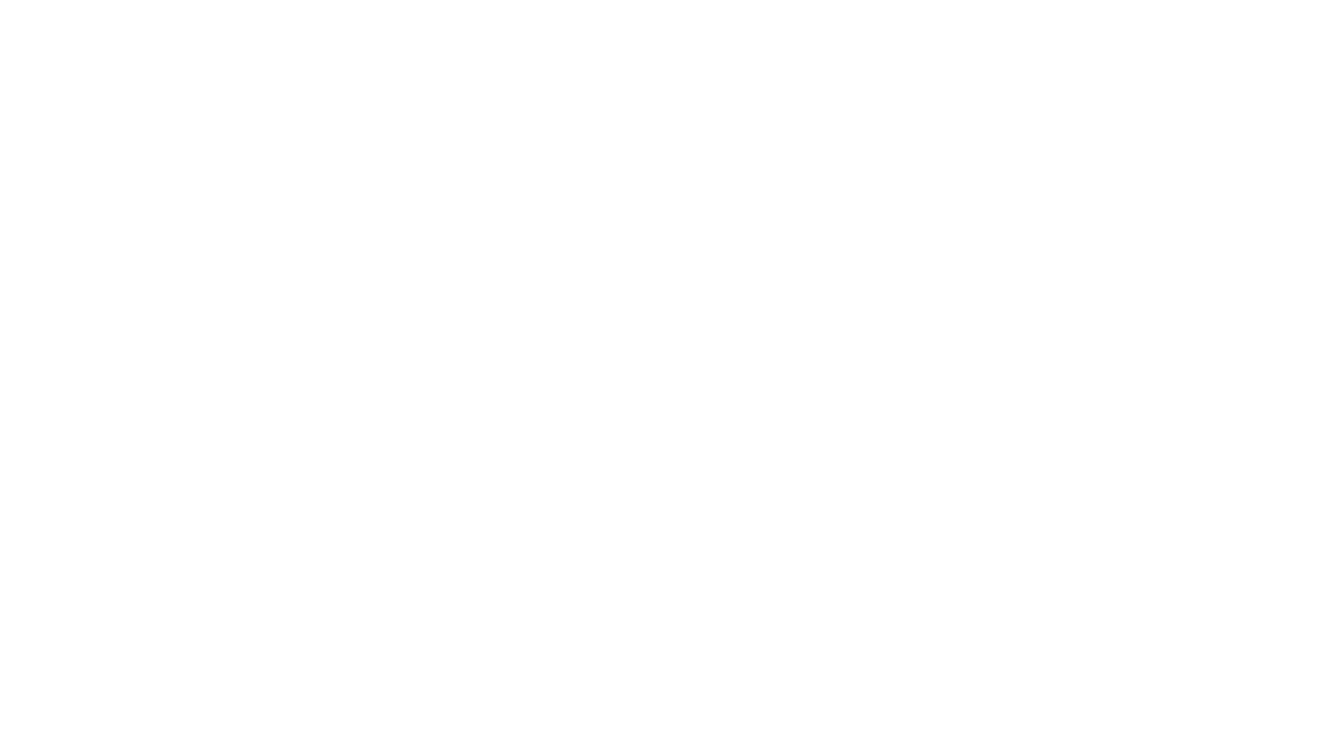 Schwarz Corporate Solutions